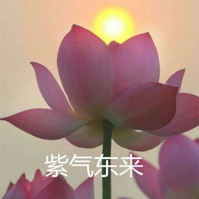 名将传说最新版下载